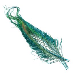 Wapsi Peacock Swords