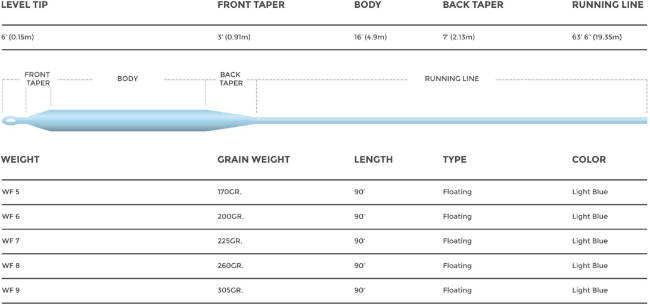 WEIGHT FORWARD TAPER PROFILE