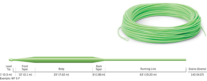 cortland_444sl_classic1_coil.jpg