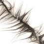 LCH-301 Black - Grizzled