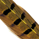 Hends Pheasant Tail