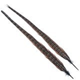 Wapsi 1 Pair Ringneck Tail Feathers 