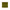 Dk yellow olive