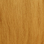 Ginger