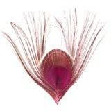 BG Paw-Quill