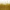 04 Golden Olive