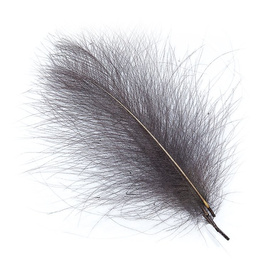 Wapsi CDC Cul De Canard