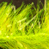 Fasna Bonded Gel-Core