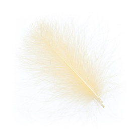 Wapsi CDC Cul De Canard