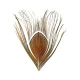BG Paw-Quill