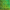 Green/Big