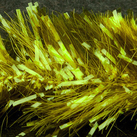 Fasna Neon Fritz 15mm