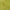 Yellow Olive
