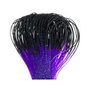 SF341 Black - Purple