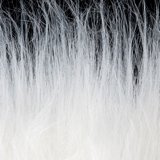 BG Synthetic Hair