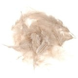 Wapsi White Matuka Soft Hackle