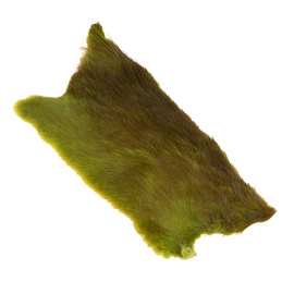 BG Skóra Piżmaka – ½ skóry