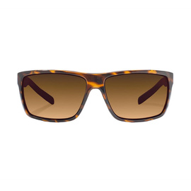 Bajio Sigs - Br. Tort Glos - Copper - Glass