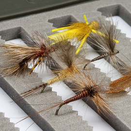 BG Fly Box 77A Medium