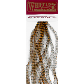Whiting 100 Packs