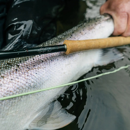 Winston Wędka Air 2 TH 