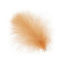 CDC042 Ginger