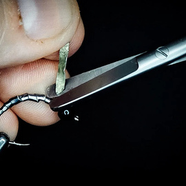 Renomed Nożyczki Braid Cutter Small