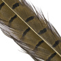 Medium Olive
