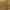 FD-TD30 Golden Brown