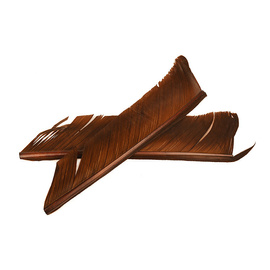 Fly-Dressing Turkey Biot Quills