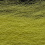 LH-029 Yellow Olive