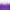 19 Purple
