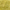 FD-TD25 UV Golden Olive