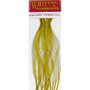 White Golden Olive