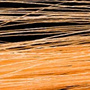 07 Orange