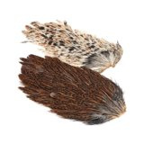 Kapka Siodłowa Kury