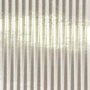 Light Gray Silver