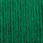 SY062 Kelly Green