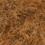 Rusty Brown