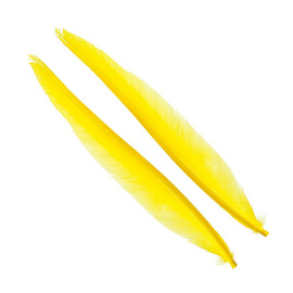 Wapsi Duck Quill, 2 pair