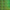 Green/Small