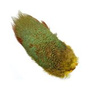 PSR010 Golden Yellow