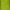 17 Chartreuse