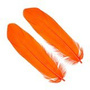 GS012 Orange