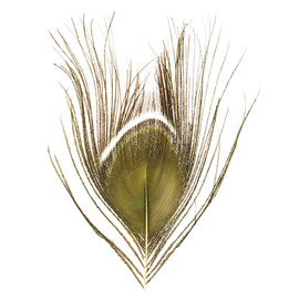 BG Paw-Quill