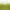 20 Olive