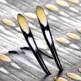 Pro Sportfisher Jungle Cock Natural