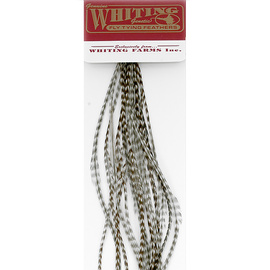 Whiting 100 Packs