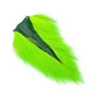 BTM509 Fluo Chartreuse