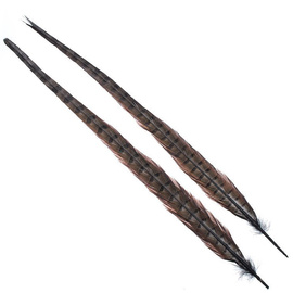 Wapsi 1 Pair Ringneck Tail Feathers 